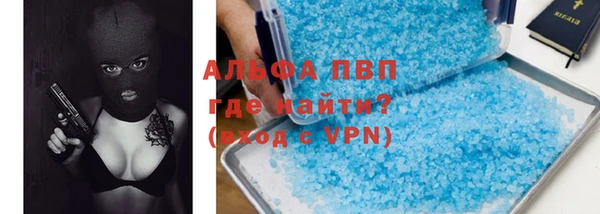 дмт Богданович