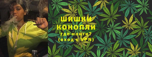 гашик Богородск