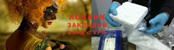 дмт Богданович
