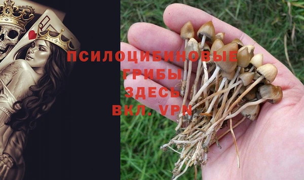 гашик Богородск