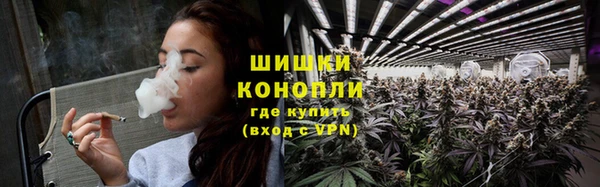 гашик Богородск