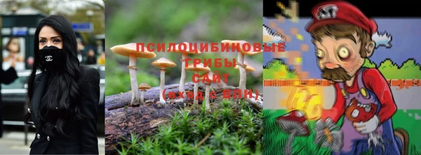 ALPHA-PVP Бородино