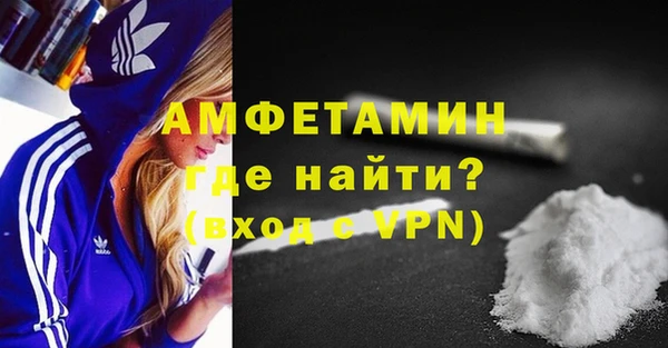 дмт Богданович
